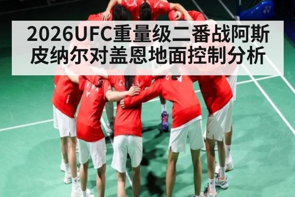 2026UFC重量级二番战阿斯皮纳尔对盖恩地面控制分析